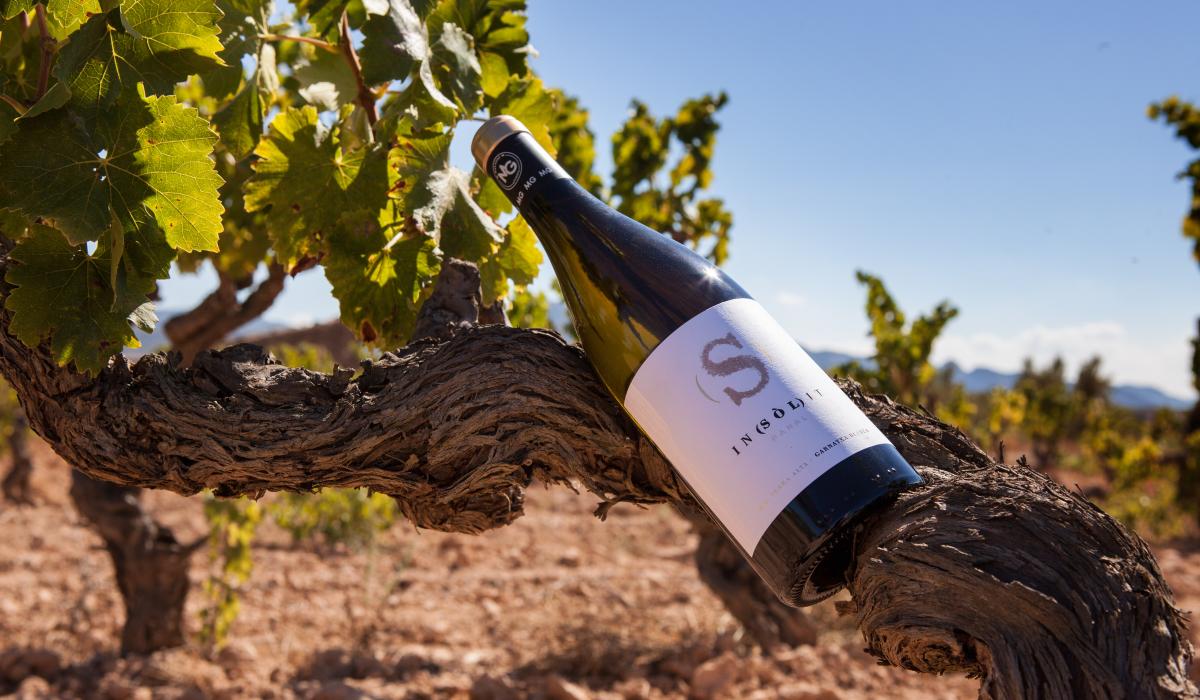 Mas Gusó El nostre estil